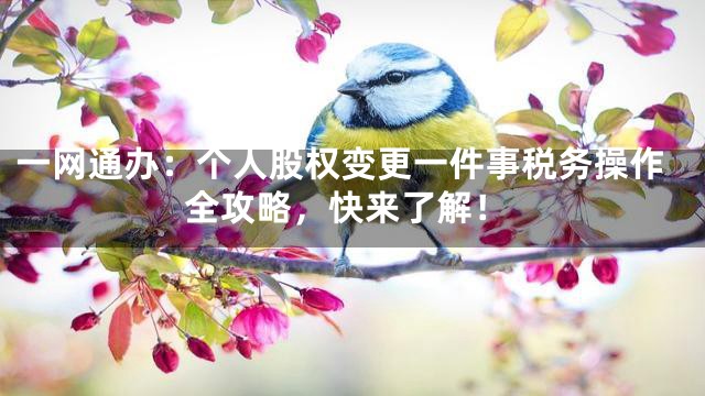 一网通办：个人股权变更一件事税务操作全攻略，快来了解！