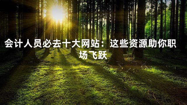 会计人员必去十大网站：这些资源助你职场飞跃
