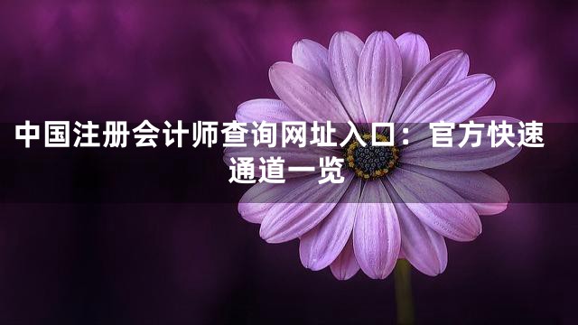 中国注册会计师查询网址入口：官方快速通道一览