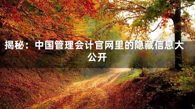 揭秘：中国管理会计官网里的隐藏信息大公开
