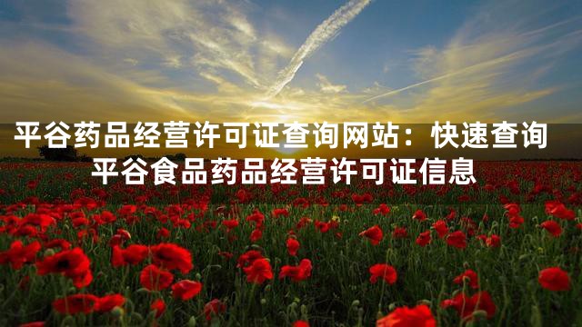 平谷药品经营许可证查询网站：快速查询平谷食品药品经营许可证信息