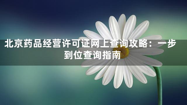北京药品经营许可证网上查询攻略：一步到位查询指南