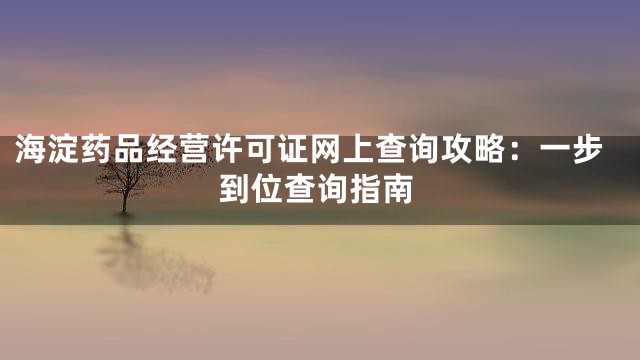 海淀药品经营许可证网上查询攻略：一步到位查询指南