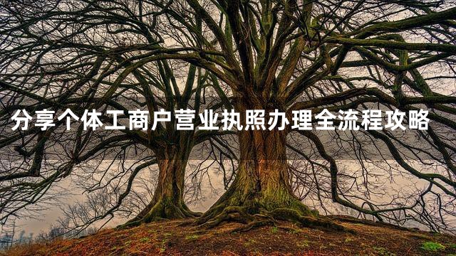 分享个体工商户营业执照办理全流程攻略
