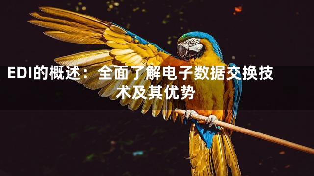 EDI的概述：全面了解电子数据交换技术及其优势