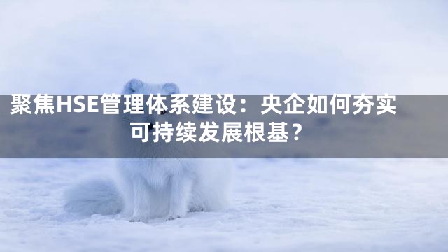 聚焦HSE管理体系建设：央企如何夯实可持续发展根基？