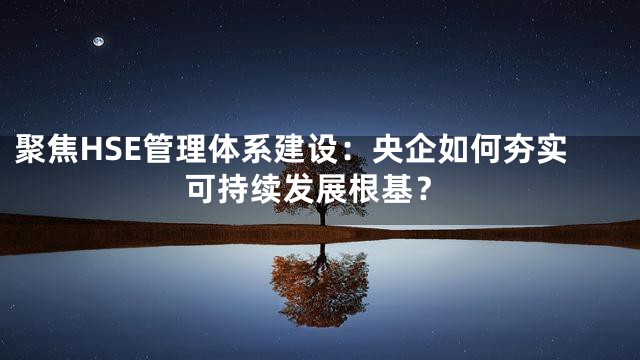 聚焦HSE管理体系建设：央企如何夯实可持续发展根基？