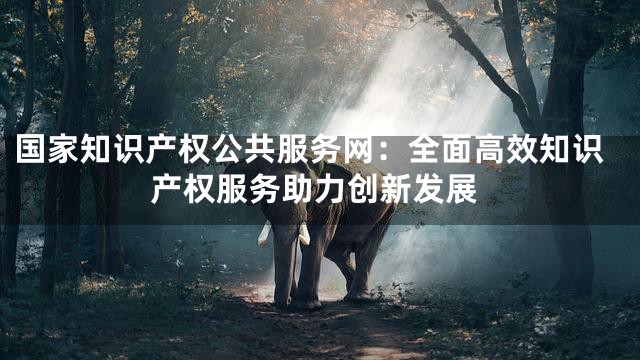 国家知识产权公共服务网：全面高效知识产权服务助力创新发展