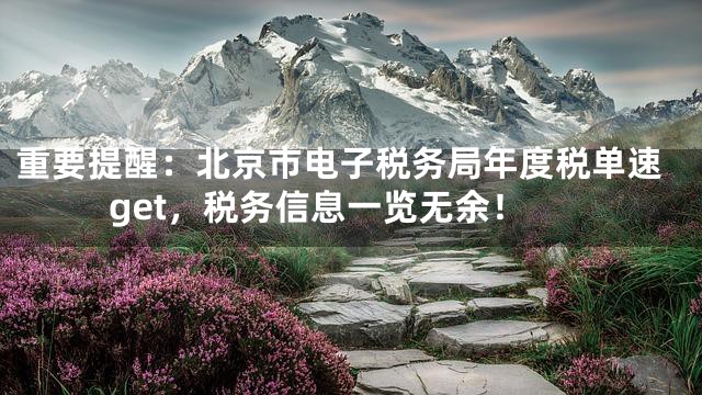 重要提醒：北京市电子税务局年度税单速get，税务信息一览无余！