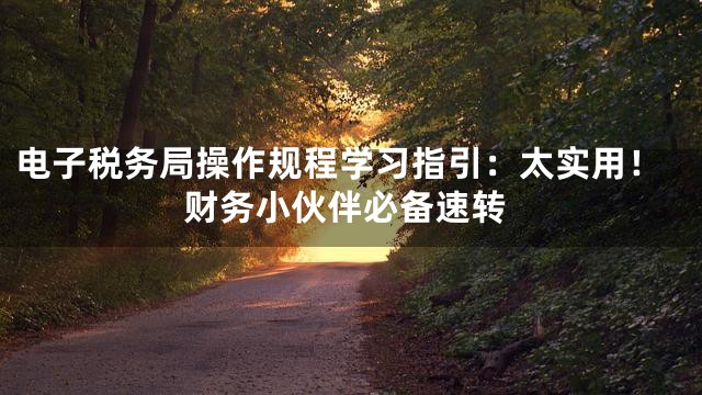 电子税务局操作规程学习指引：太实用！财务小伙伴必备速转