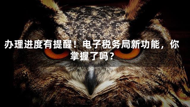 办理进度有提醒！电子税务局新功能，你掌握了吗？