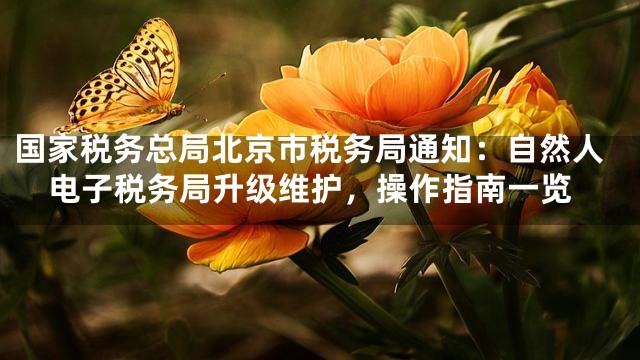 国家税务总局北京市税务局通知：自然人电子税务局升级维护，操作指南一览