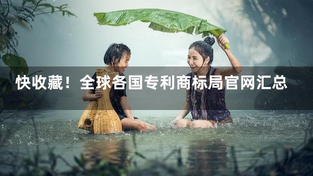 快收藏！全球各国专利商标局官网汇总
