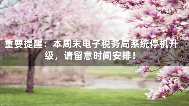重要提醒：本周末电子税务局系统停机升级，请留意时间安排！