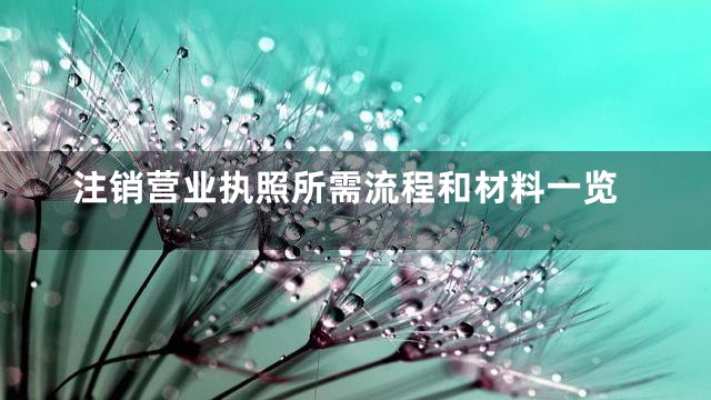 注销营业执照所需流程和材料一览