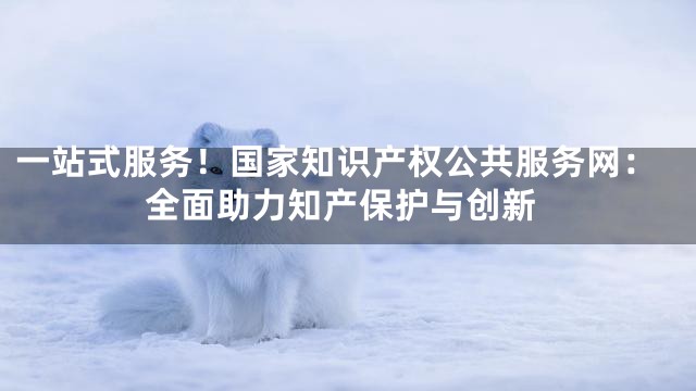 一站式服务！国家知识产权公共服务网：全面助力知产保护与创新