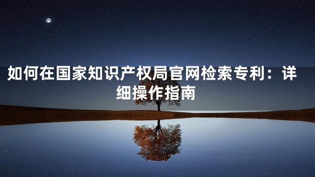 如何在国家知识产权局官网检索专利：详细操作指南