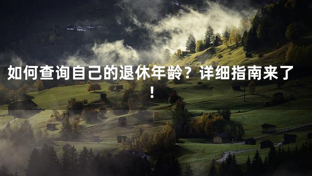 如何查询自己的退休年龄？详细指南来了！