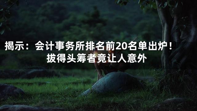 揭示：会计事务所排名前20名单出炉！拔得头筹者竟让人意外