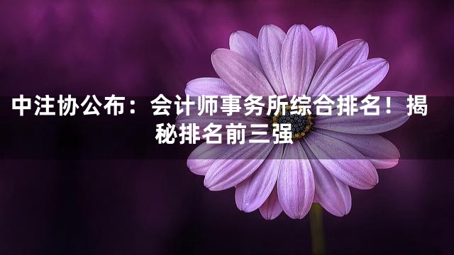 中注协公布：会计师事务所综合排名！揭秘排名前三强