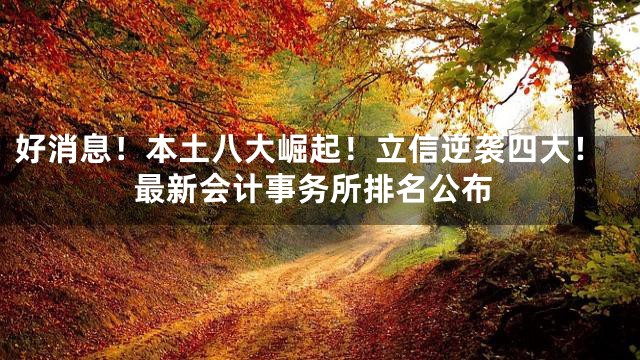 好消息！本土八大崛起！立信逆袭四大！最新会计事务所排名公布