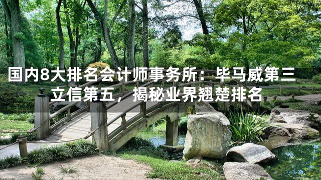 国内8大排名会计师事务所：毕马威第三立信第五，揭秘业界翘楚排名