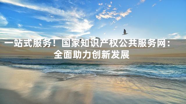一站式服务！国家知识产权公共服务网：全面助力创新发展