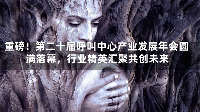 重磅！第二十届呼叫中心产业发展年会圆满落幕，行业精英汇聚共创未来