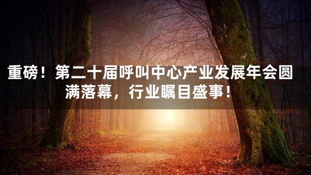 重磅！第二十届呼叫中心产业发展年会圆满落幕，行业瞩目盛事！