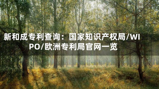 新和成专利查询：国家知识产权局/WIPO/欧洲专利局官网一览