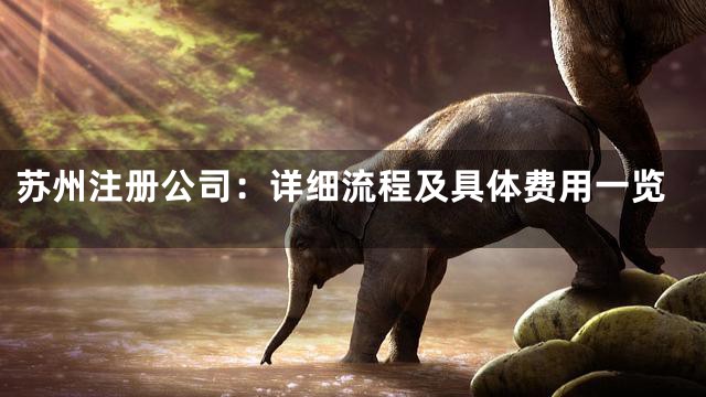 苏州注册公司：详细流程及具体费用一览