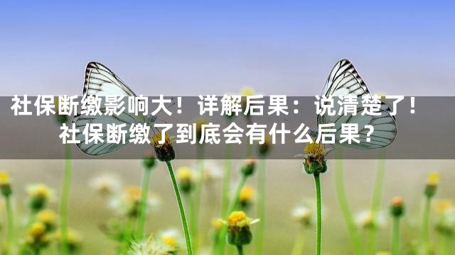 社保断缴影响大！详解后果：说清楚了！社保断缴了到底会有什么后果？