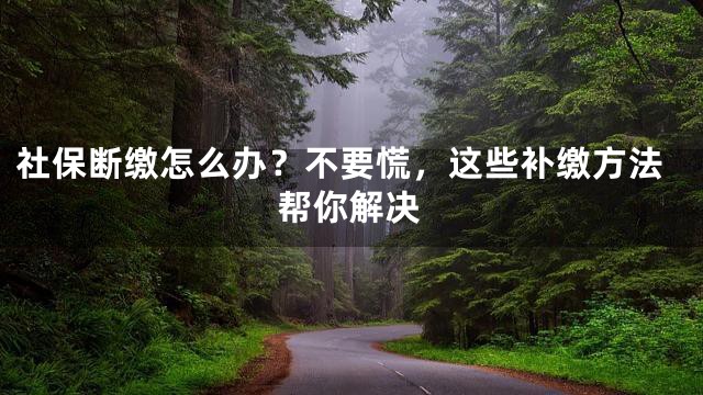 社保断缴怎么办？不要慌，这些补缴方法帮你解决