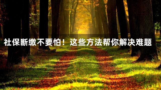 社保断缴不要怕！这些方法帮你解决难题