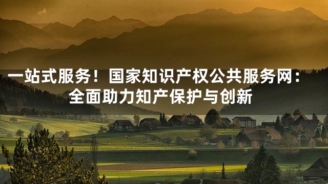 一站式服务！国家知识产权公共服务网：全面助力知产保护与创新