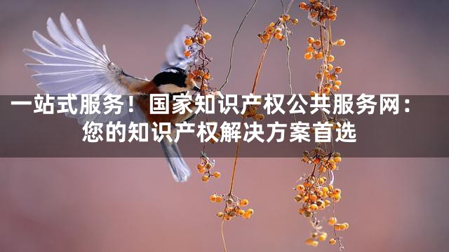 一站式服务！国家知识产权公共服务网：您的知识产权解决方案首选