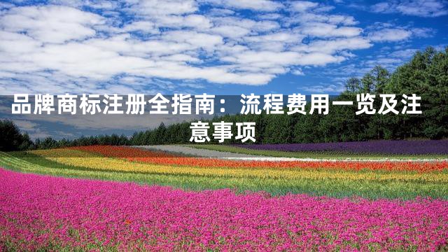 品牌商标注册全指南：流程费用一览及注意事项