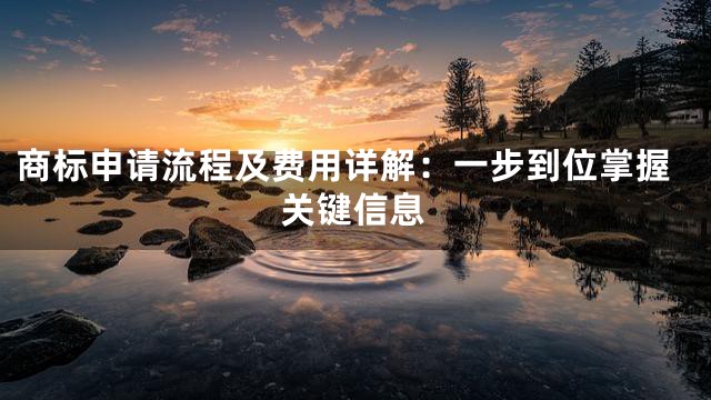 商标申请流程及费用详解：一步到位掌握关键信息