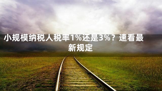 小规模纳税人税率1%还是3%？速看最新规定