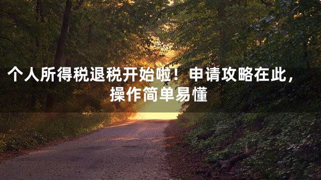 个人所得税退税开始啦！申请攻略在此，操作简单易懂