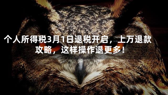 个人所得税3月1日退税开启，上万退款攻略，这样操作退更多！