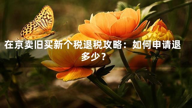 在京卖旧买新个税退税攻略：如何申请退多少？