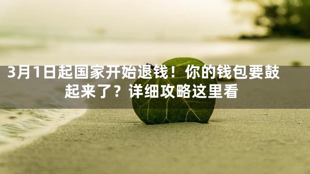 3月1日起国家开始退钱！你的钱包要鼓起来了？详细攻略这里看