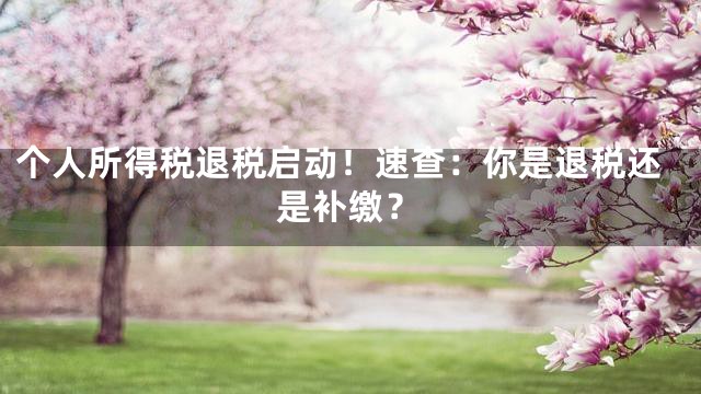 个人所得税退税启动！速查：你是退税还是补缴？