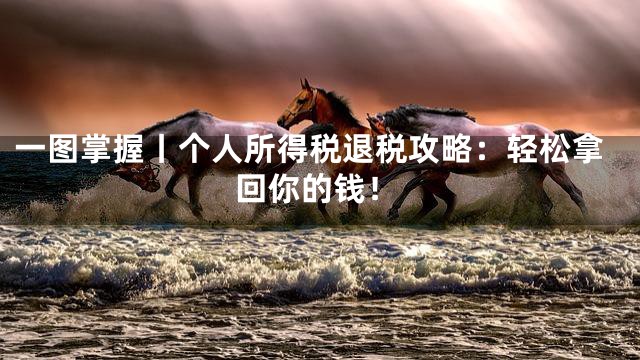 一图掌握丨个人所得税退税攻略：轻松拿回你的钱！