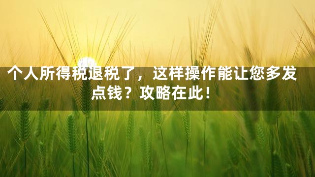 个人所得税退税了，这样操作能让您多发点钱？攻略在此！
