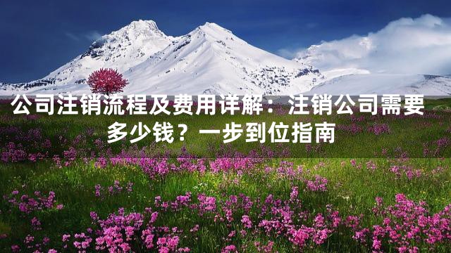 公司注销流程及费用详解：注销公司需要多少钱？一步到位指南