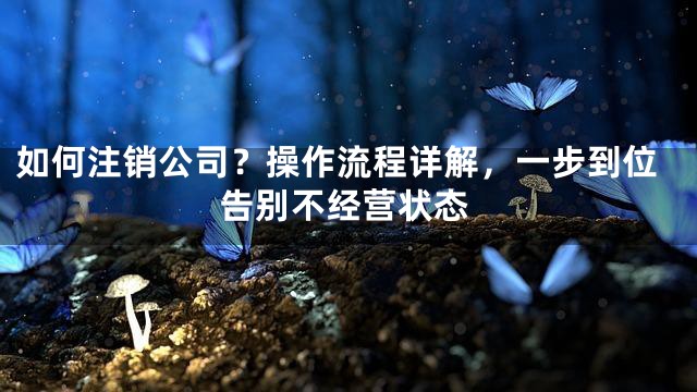 如何注销公司？操作流程详解，一步到位告别不经营状态