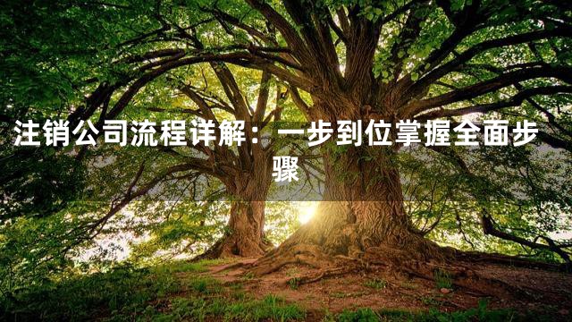 注销公司流程详解：一步到位掌握全面步骤