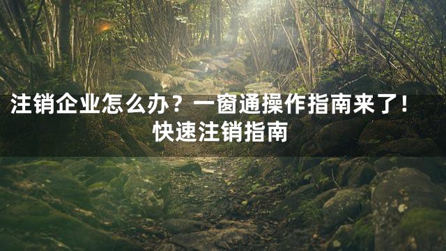 注销企业怎么办？一窗通操作指南来了！快速注销指南